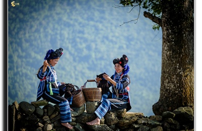 Y Ty – Lao Cai：云海之间、水注梯田与高原文化的原始之美